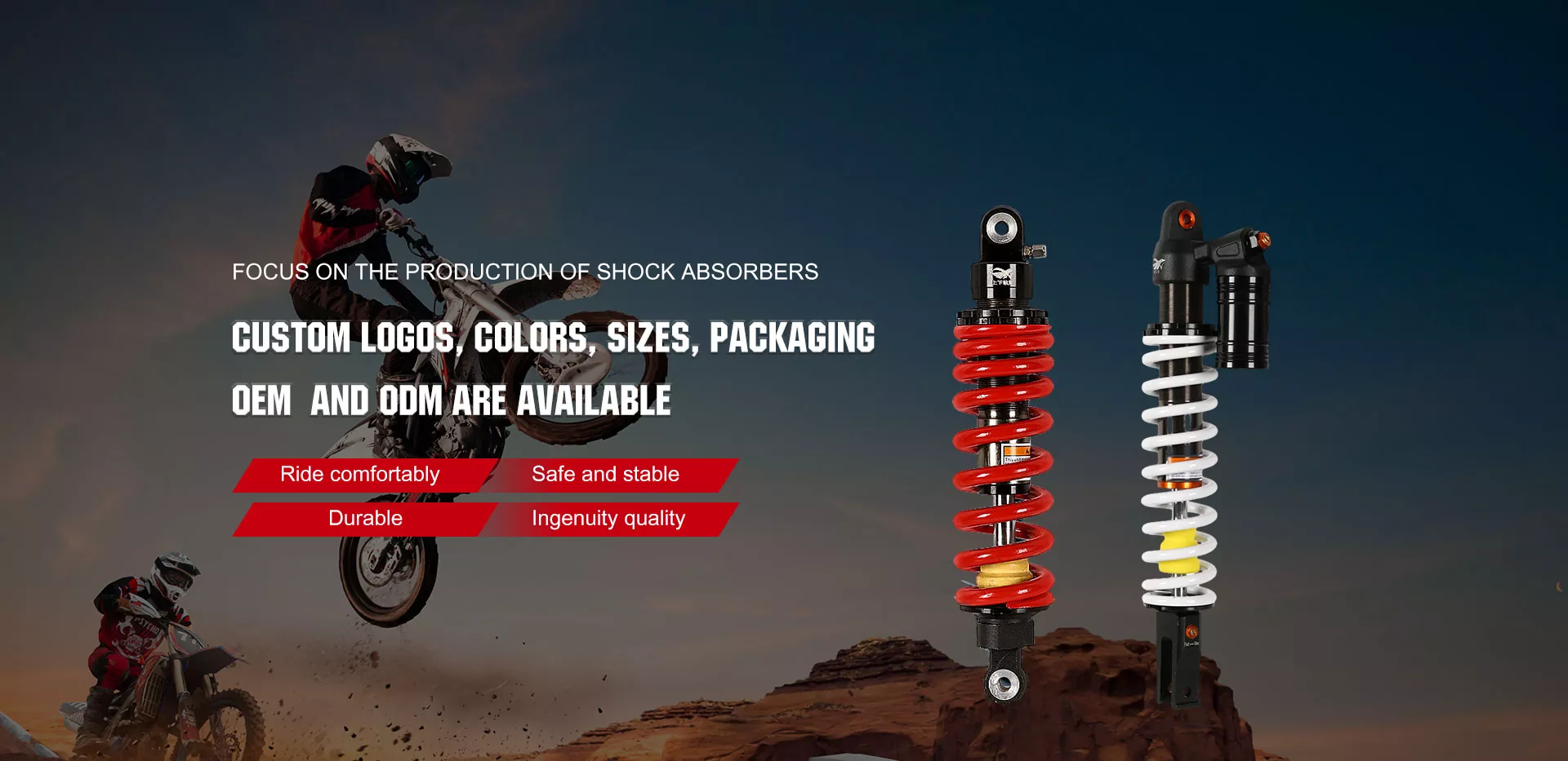 चीन रियर शक अवशोषक